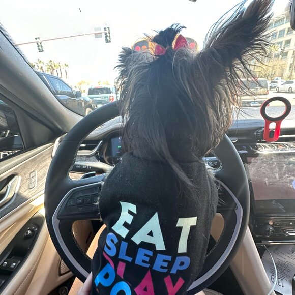 6 Pack Dog Clothes for Small Dogs Boy and Girl Outfits - Picture 2 of 10